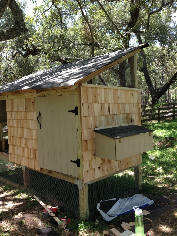 Shingles and nestboxes